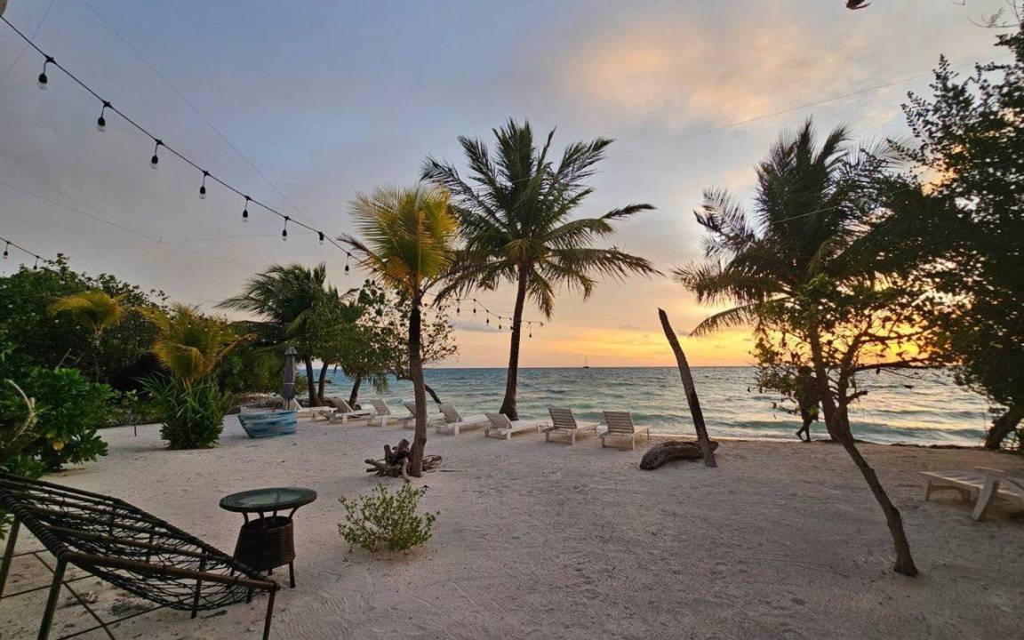 Photo of Others in Dhiffushi