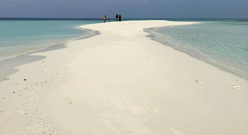 Photo of Others in Dhiffushi