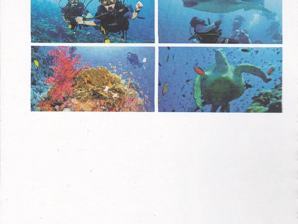 Photo of Others in Hulhumale