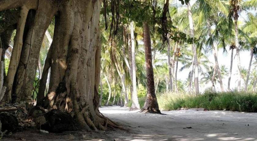 Photo of Others in Thoddoo