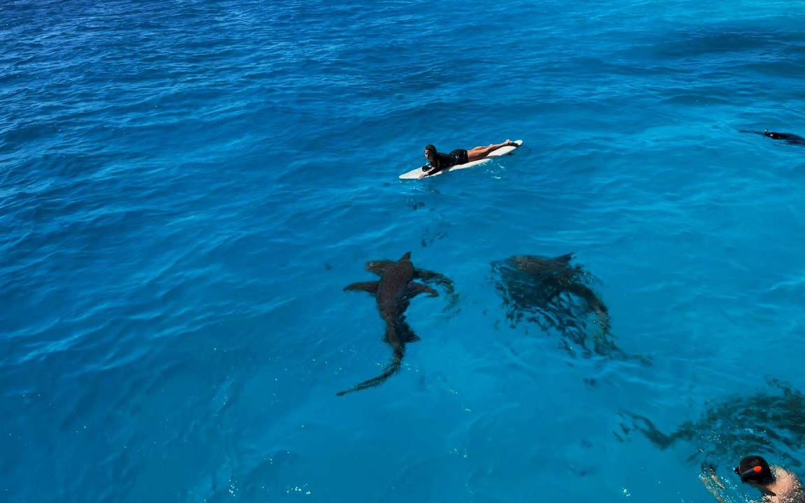 Photo of Others in Guraidhoo
