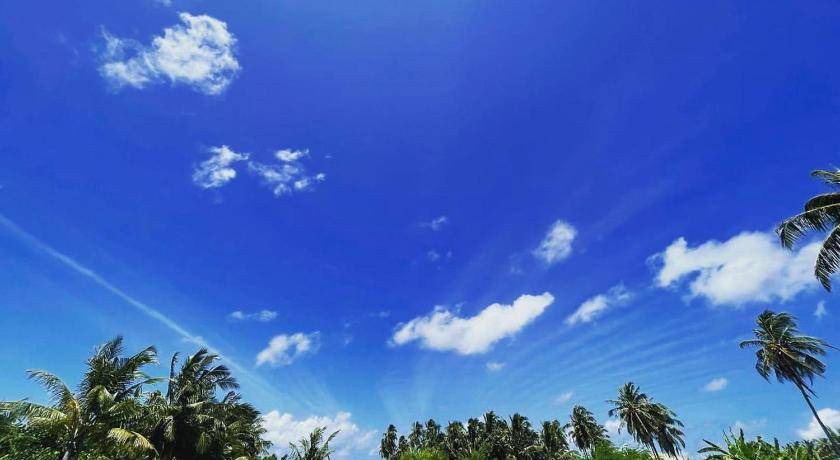 Photo of Others in Maamigili