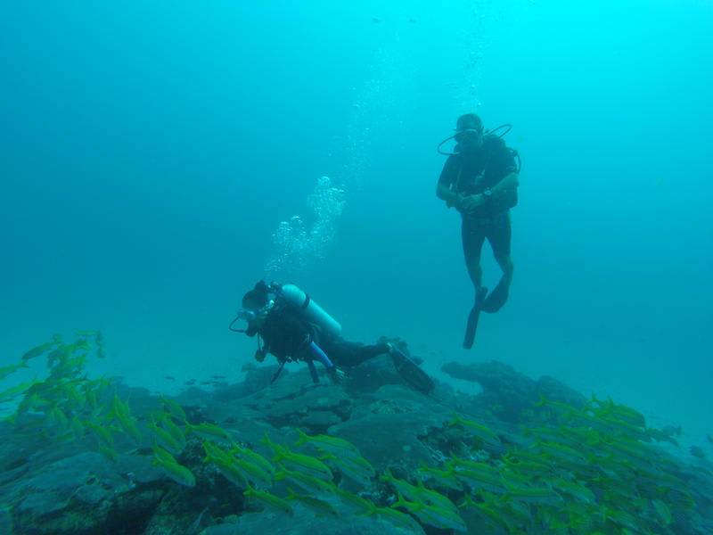 Photo of Others in Thulusdhoo Island