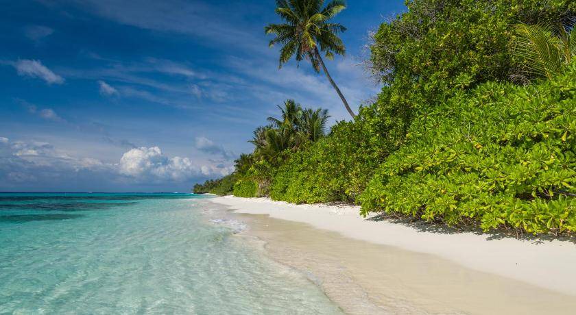 Photo of Others in Dhigurah