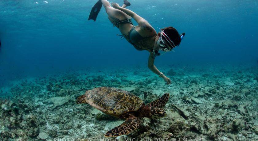 Photo of Others in Dhigurah