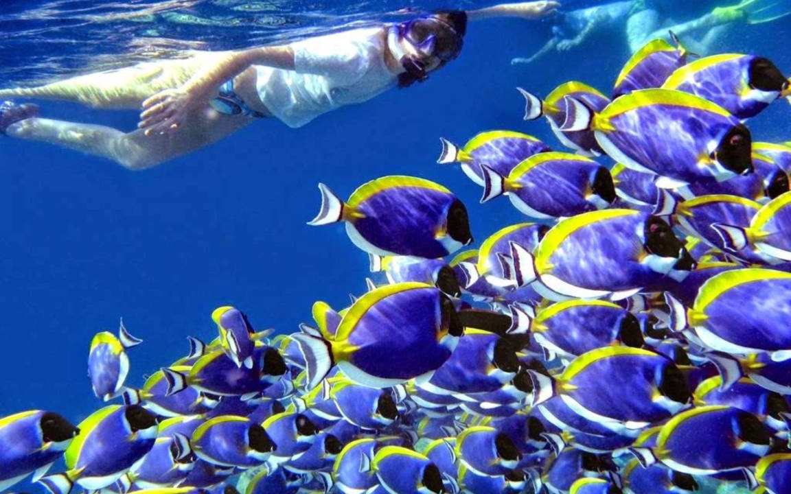 Photo of Others in Fulidhoo