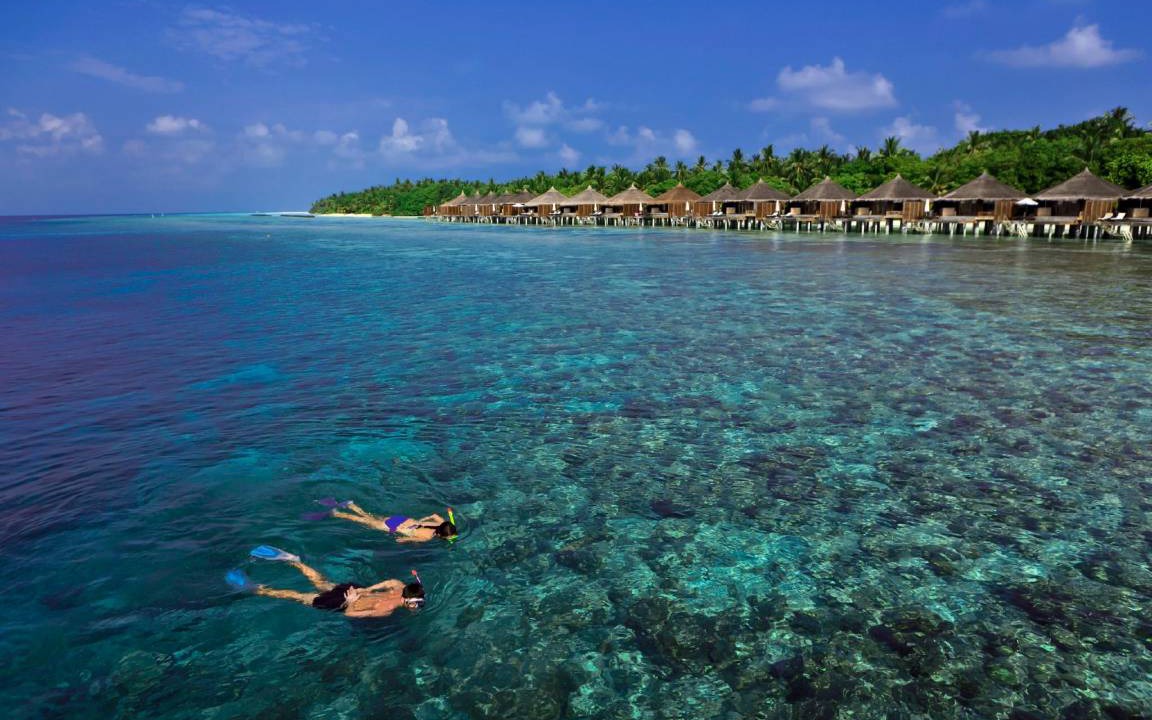 Photo of Others in Kuramathi Island
