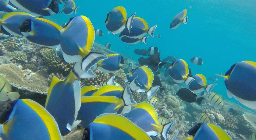 Photo of Others in Rasdhoo