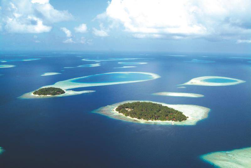 Photo of Others in Biyadhoo Island