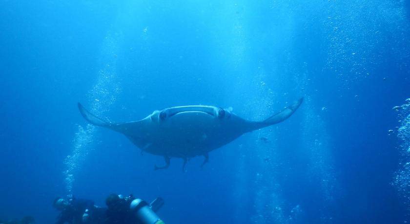 Photo of Others in Dhigurah