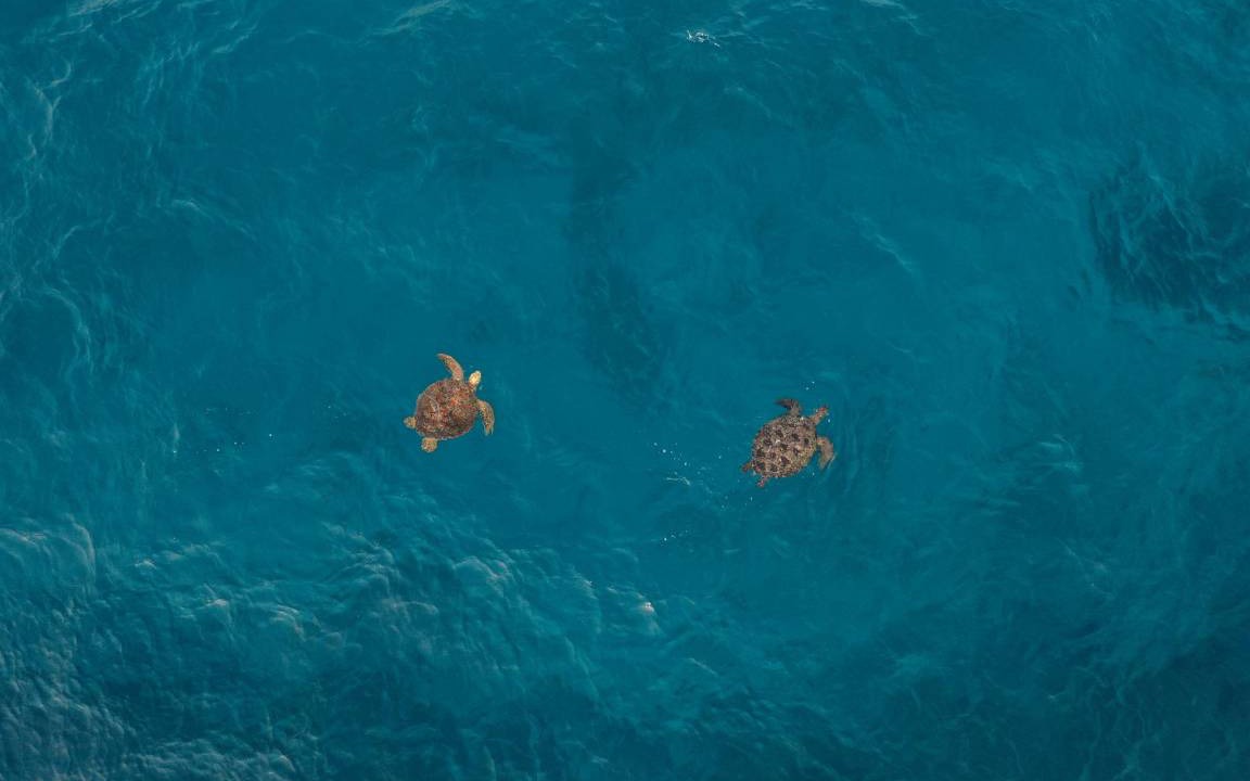 Photo of Others in Rasdhoo