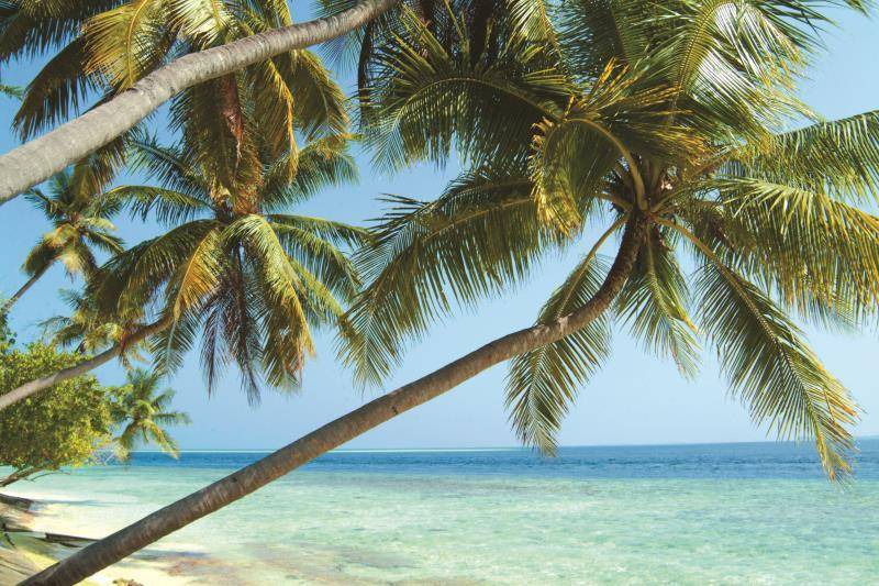 Photo of Others in Biyadhoo Island
