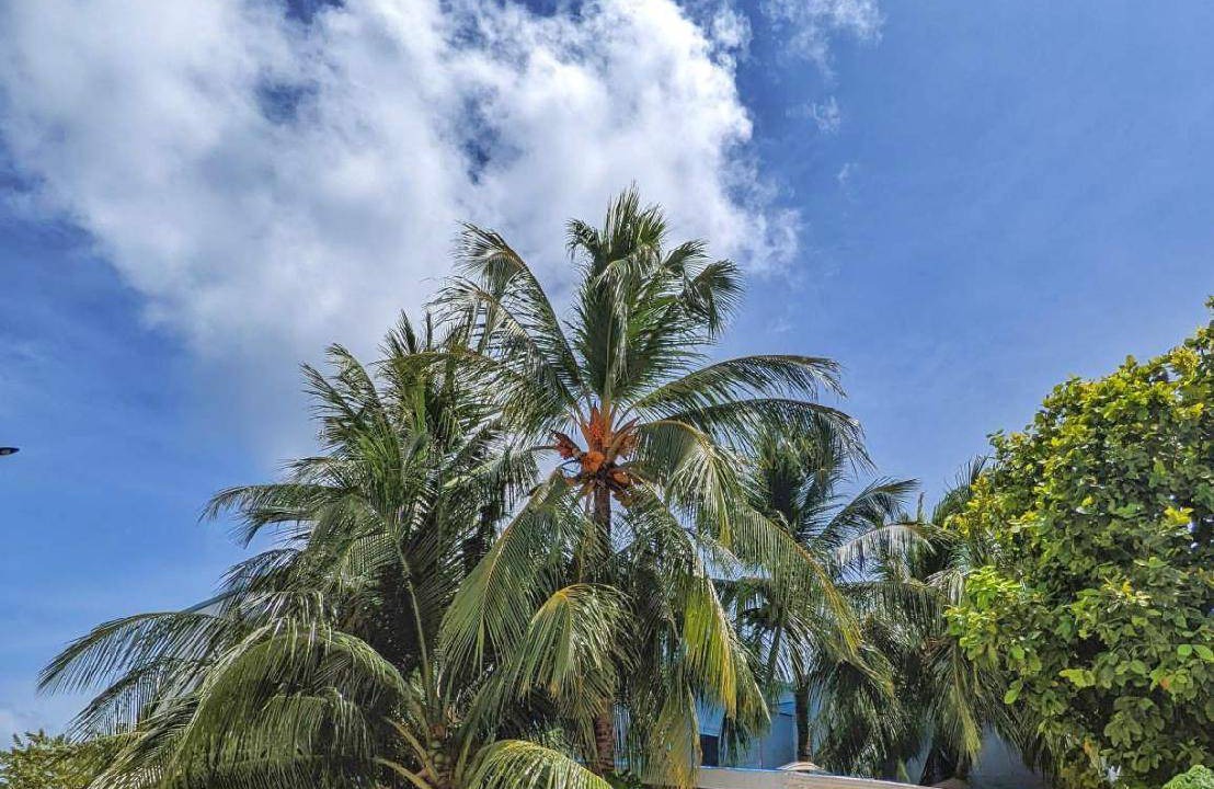 Photo of Others in Thulusdhoo Island