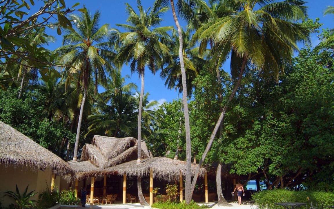 Photo of Others in Biyadhoo Island