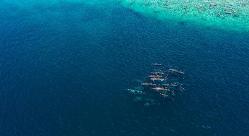 Photo of Others in Filitheyo