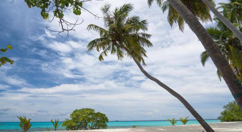 Photo of Others in Dhigurah