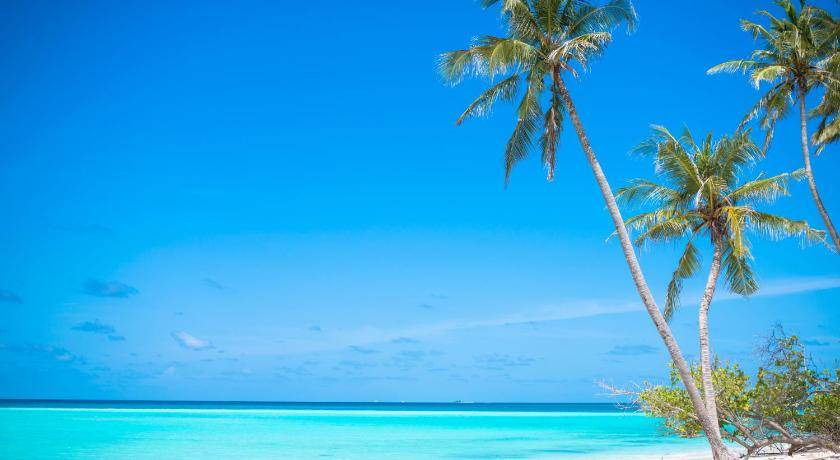 Photo of Others in Fulidhoo