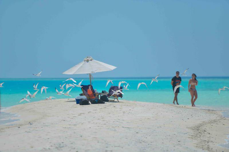 Photo of Others in Thulusdhoo Island