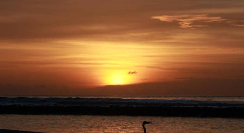 Photo of Others in Fulidhoo
