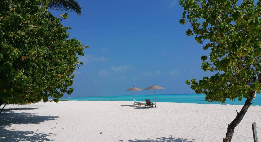 Photo of Others in Fulidhoo