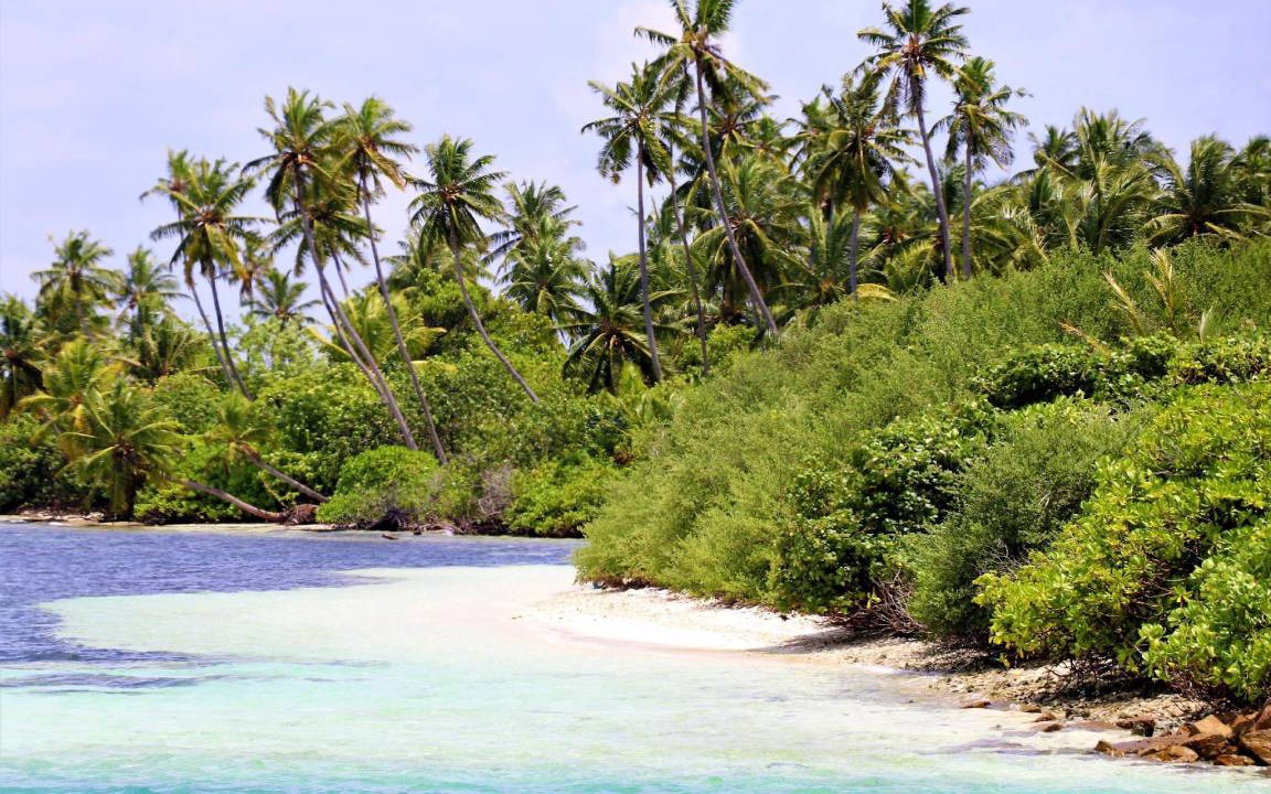 Photo of Others in Hithadhoo