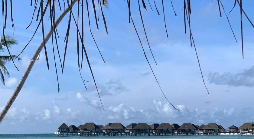 Photo of Others in Huraa