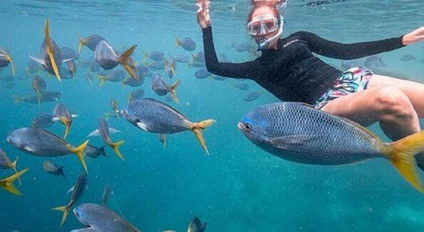 Photo of Others in Dhiffushi
