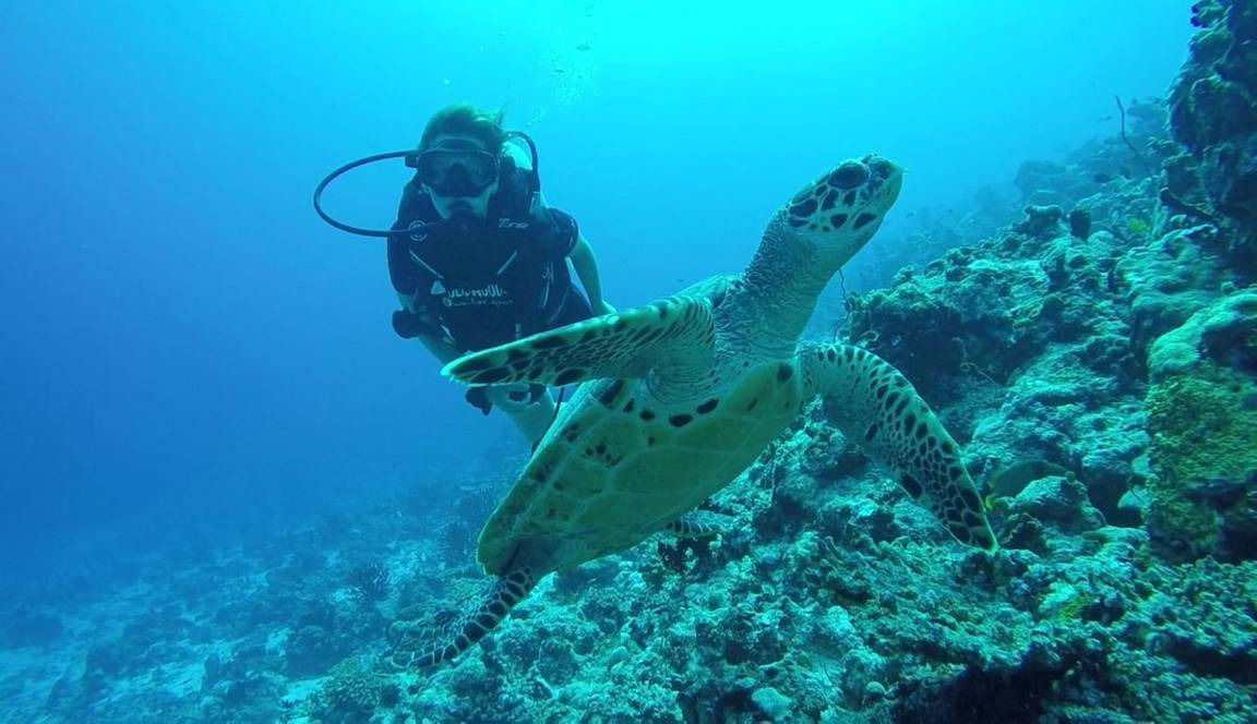 Photo of Others in Fulidhoo