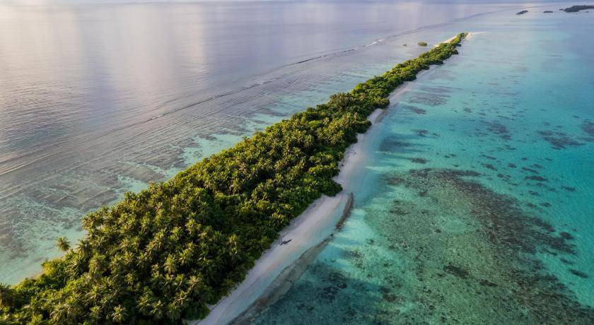 Photo of Others in Dhigurah