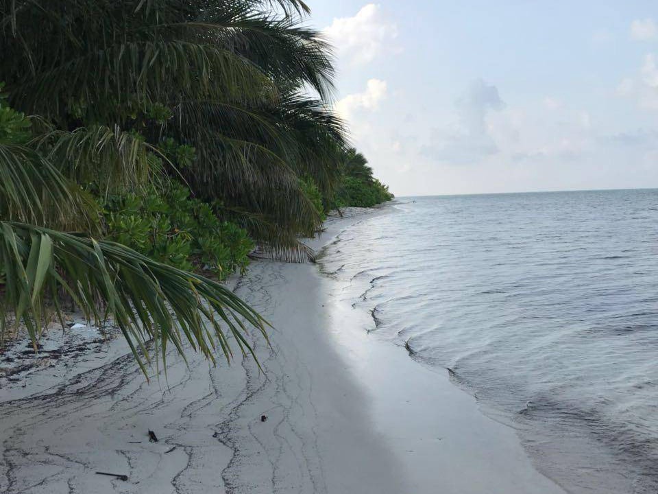 Photo of Others in Goidhoo