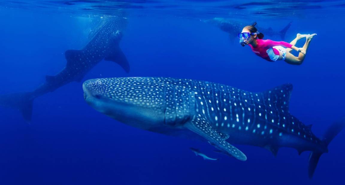 Photo of Others in Fulidhoo