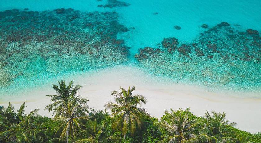 Photo of Others in Dhigurah