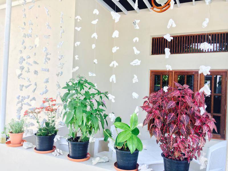 Photo of Others in Thulusdhoo Island