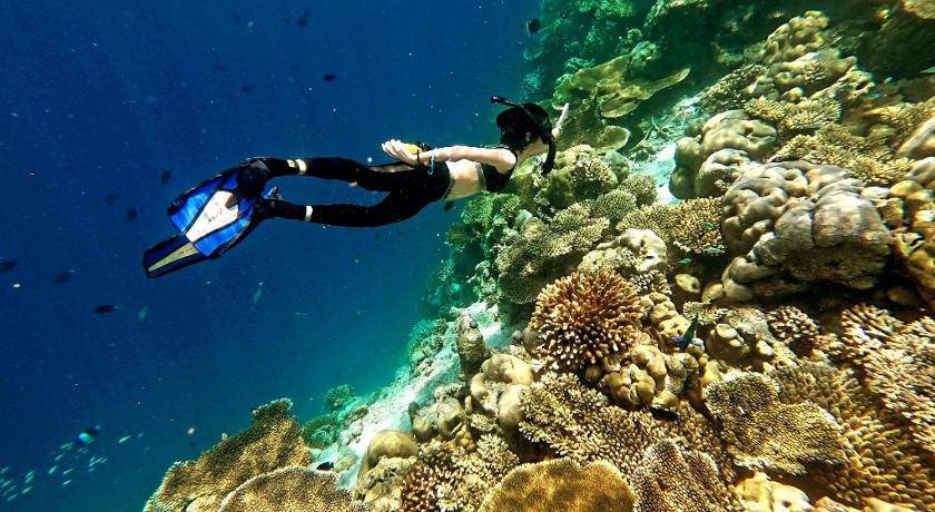 Photo of Others in Guraidhoo