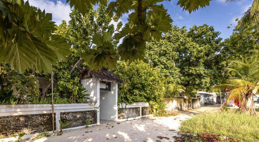 Photo of Others in Fenfushi