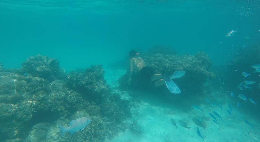 Photo of Others in Thoddoo