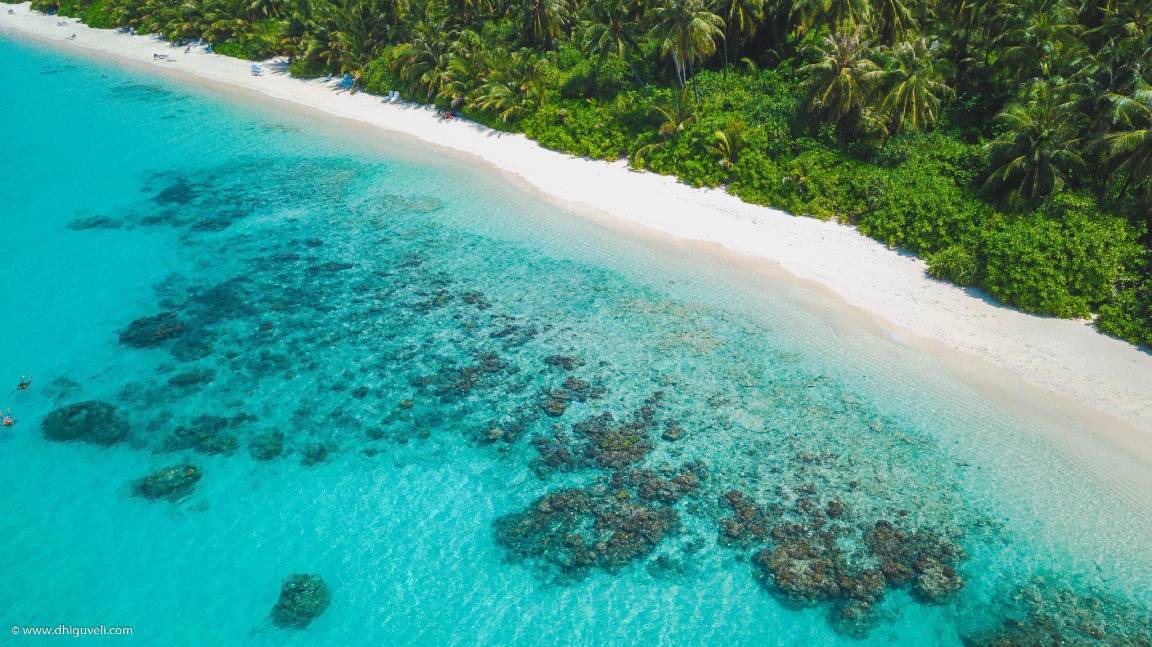 Photo of Others in Dhigurah