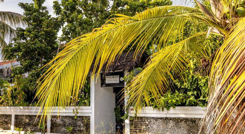 Photo of Others in Fenfushi