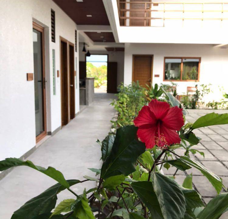 Photo of Others in Goidhoo