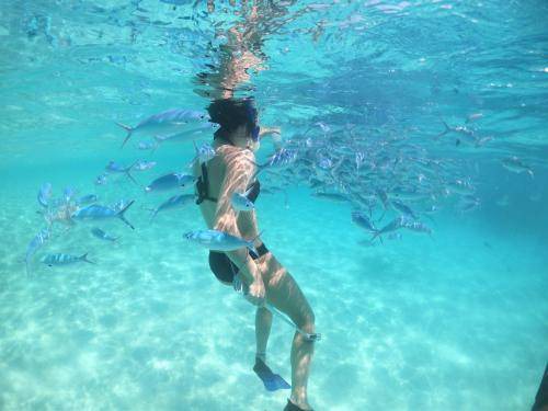 Photo of Others in Rasdhoo