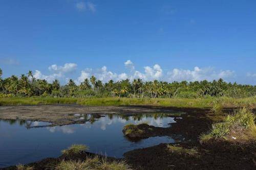 Photo of Outdoor in Fuvahmulah
