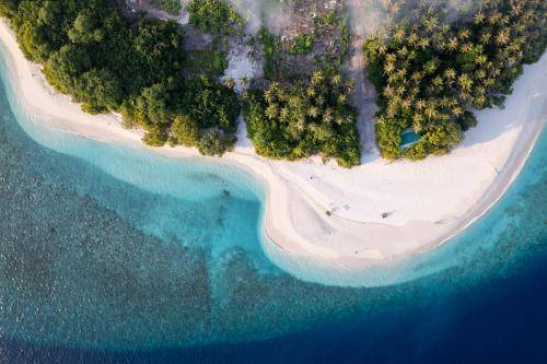 Photo of Others in Kamadhoo