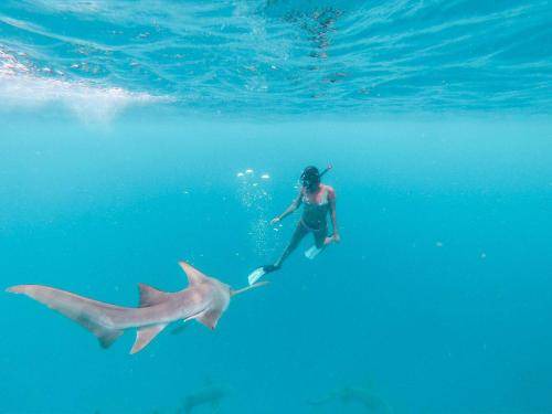 Photo of Others in Rasdhoo