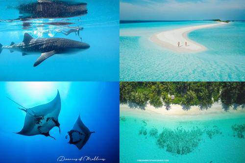 Photo of Others in Dhigurah