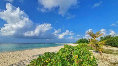 Photo of Others in Mahibadhoo