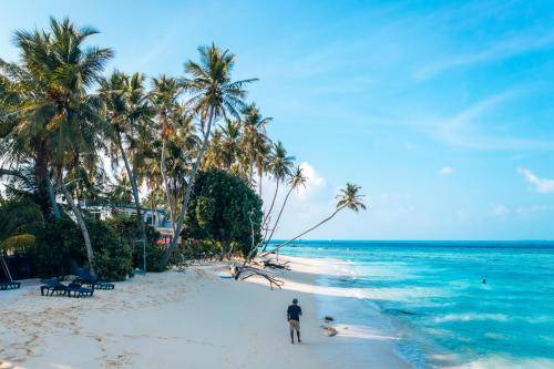 Photo of Others in Thulusdhoo Island