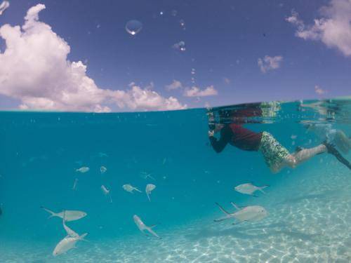 Photo of Others in Ukulhas
