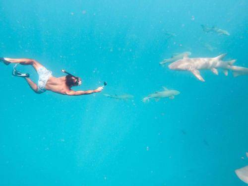 Photo of Others in Rasdhoo