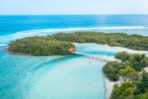 Photo of Others in Thulusdhoo Island