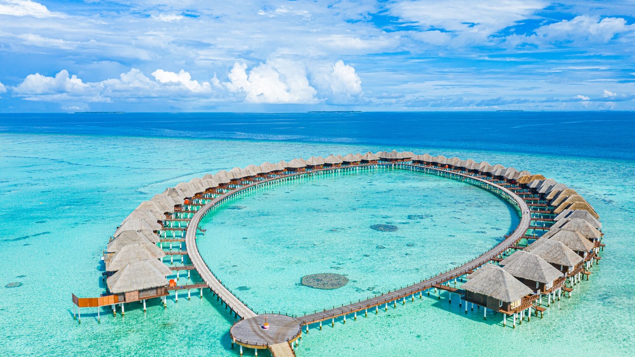 Photo of Others in Vilu Reef